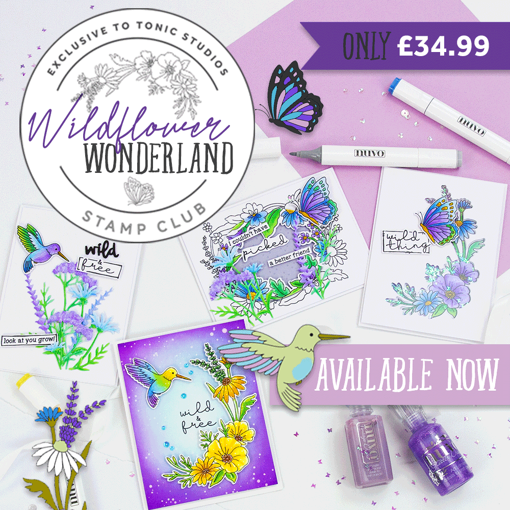 Wildflower Wonderland Die and Stamp Set, perfect for cardmaking and paper craft.