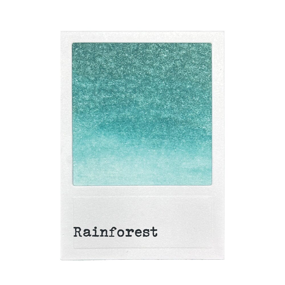 49 & Market Ink Pads 49 and Market Dye Ink Pads - Rainforest - FMP92469