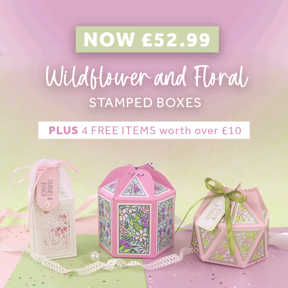 Wildflowers and Florals Collection