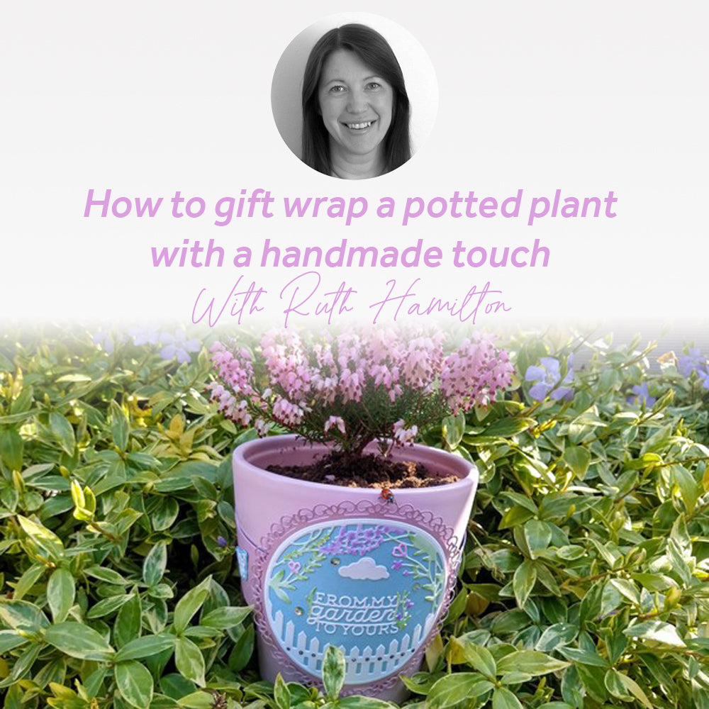 How to gift wrap a potted plant with a handmade touch