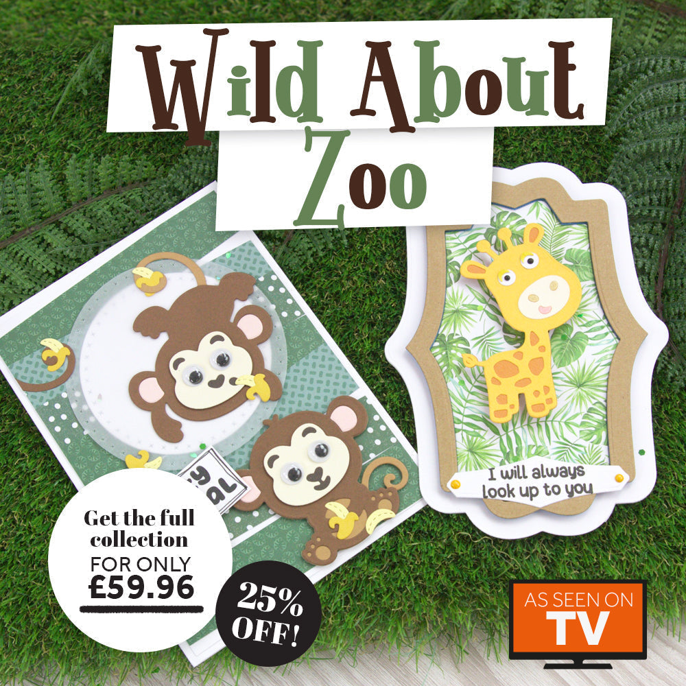 Wild About Zoo - Launch Details