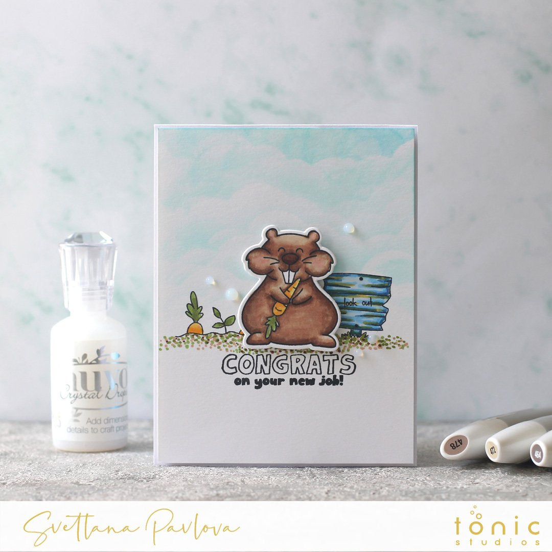  How to Make a Congratulations Card with Go For It! Gopher Adorables Stamp Set