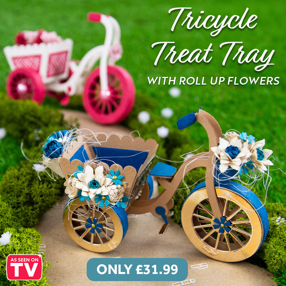 Tricycle Treat Tray & Roll up Flowers Collection