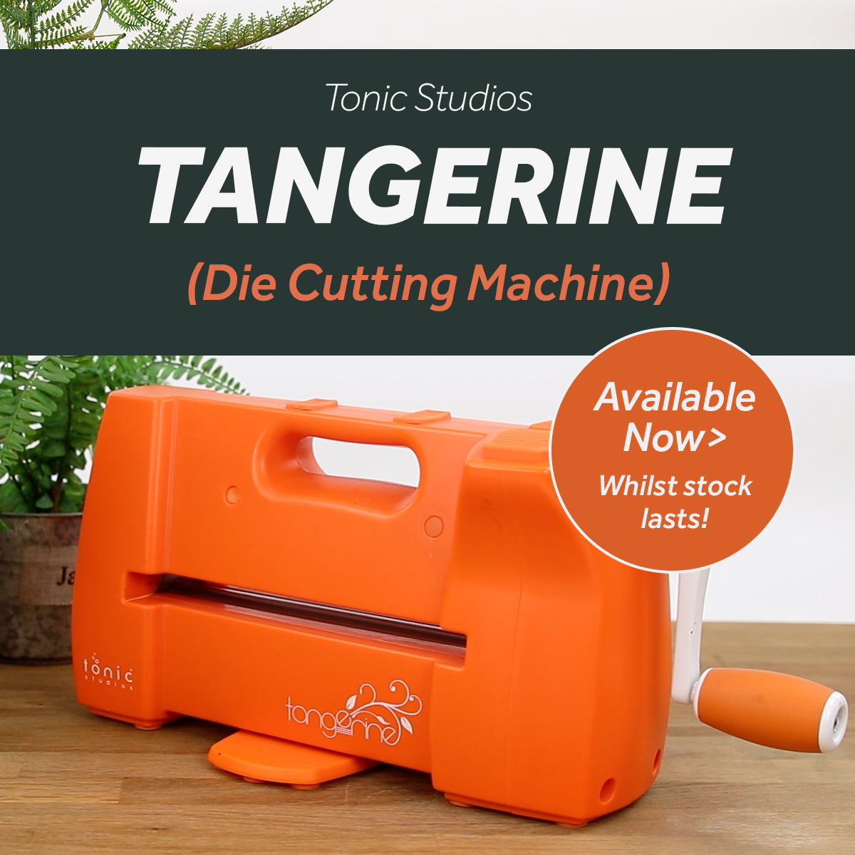 Die Cutting Machines