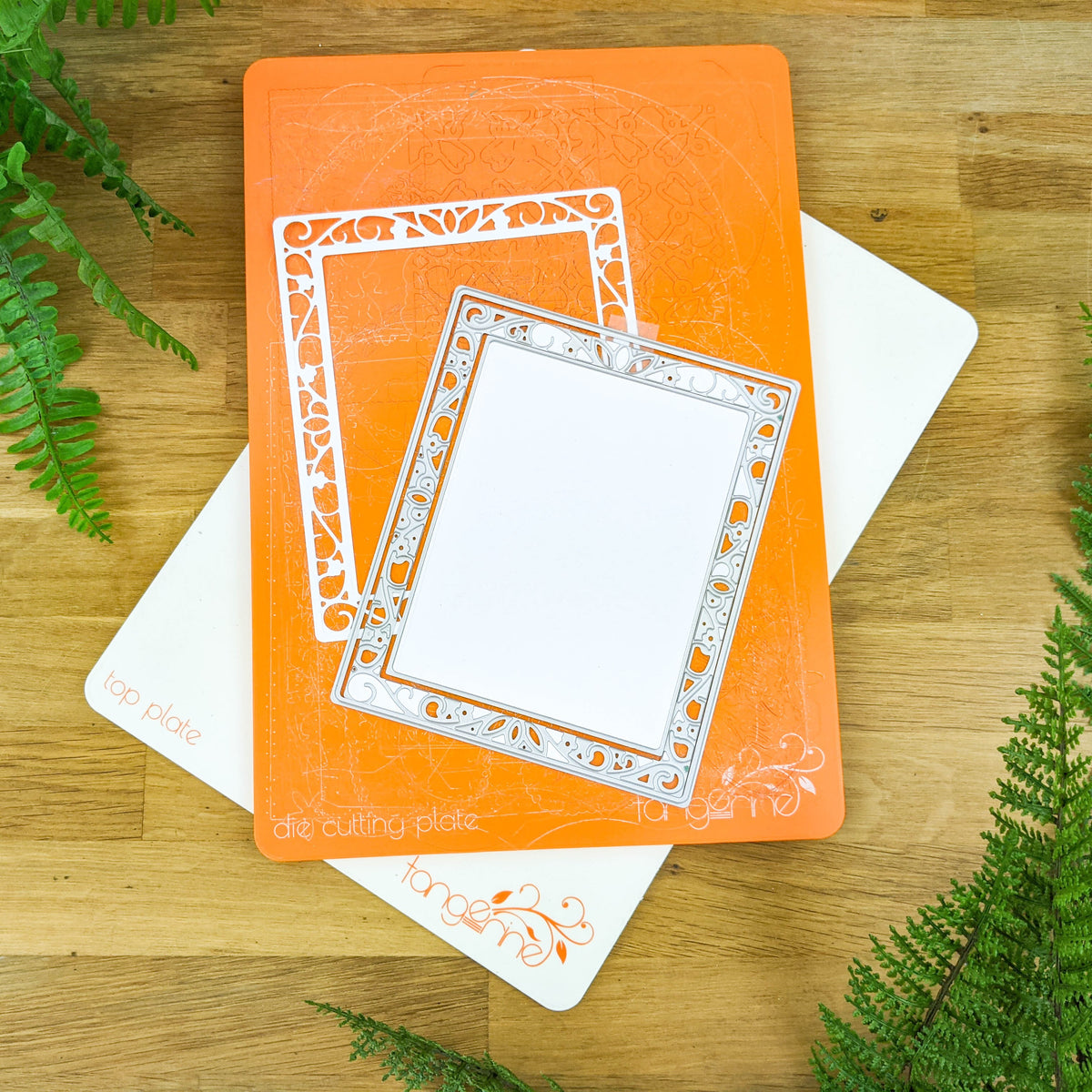 Die Cutting Supplies Tonic Studios