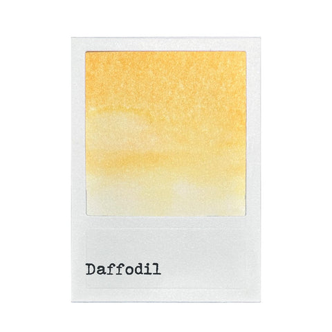 49 & Market Ink Pads 49 and Market Dye Ink Pads - Daffodil - FMP92384
