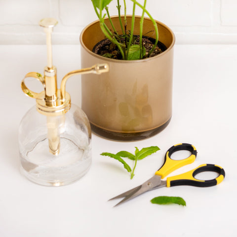 American Crafts Scoring & Cutting EK Tools Cutter Bee Small Precision Scissors