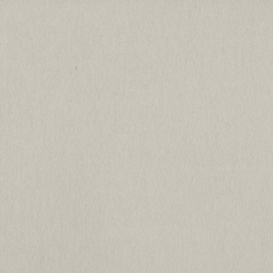 Bazzill Cardstock Bazzill Card Shoppe Heavyweight 12x12" Cardstock - 25 Sheets, Alpaca