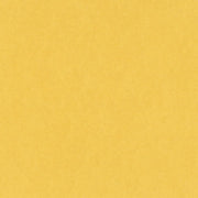 Bazzill Cardstock Bazzill Card Shoppe Heavyweight 12x12" Cardstock - 25 Sheets, Banana Split