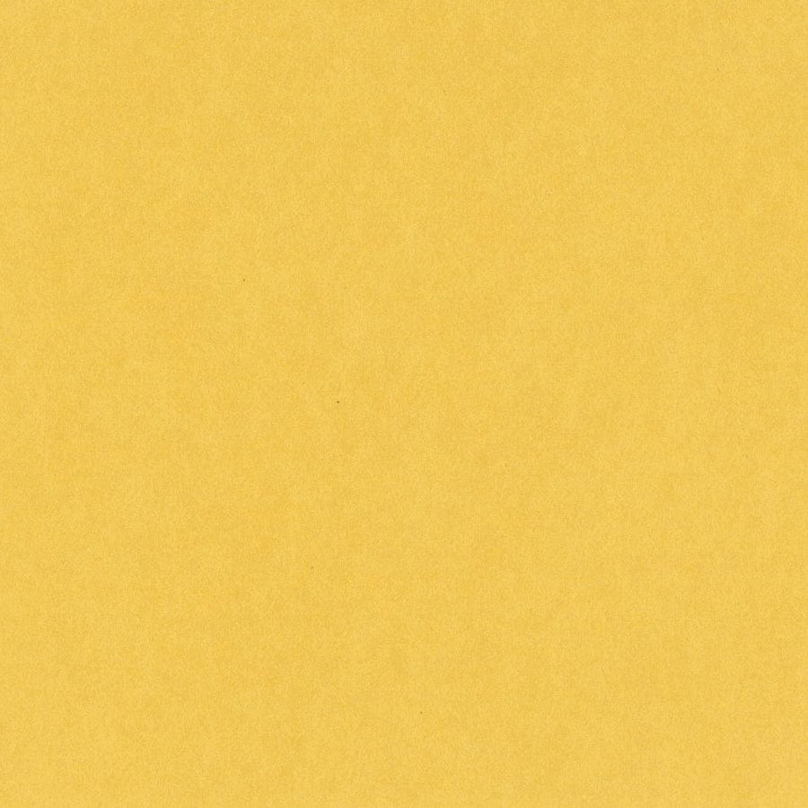 Bazzill Cardstock Bazzill Card Shoppe Heavyweight 12x12" Cardstock - 25 Sheets, Banana Split