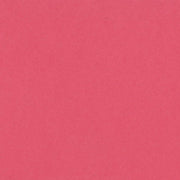 Bazzill Cardstock Bazzill Card Shoppe Heavyweight 12x12" Cardstock - 25 Sheets, Candy Hearts