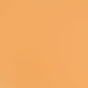 Bazzill Cardstock Bazzill Card Shoppe Heavyweight 12x12" Cardstock - 25 Sheets, Citrus Slice