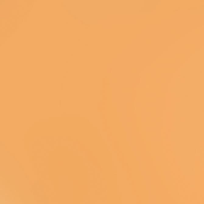 Bazzill Cardstock Bazzill Card Shoppe Heavyweight 12x12" Cardstock - 25 Sheets, Citrus Slice
