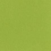 Bazzill Cardstock Bazzill Card Shoppe Heavyweight 12x12" Cardstock - 25 Sheets, Easter Grass