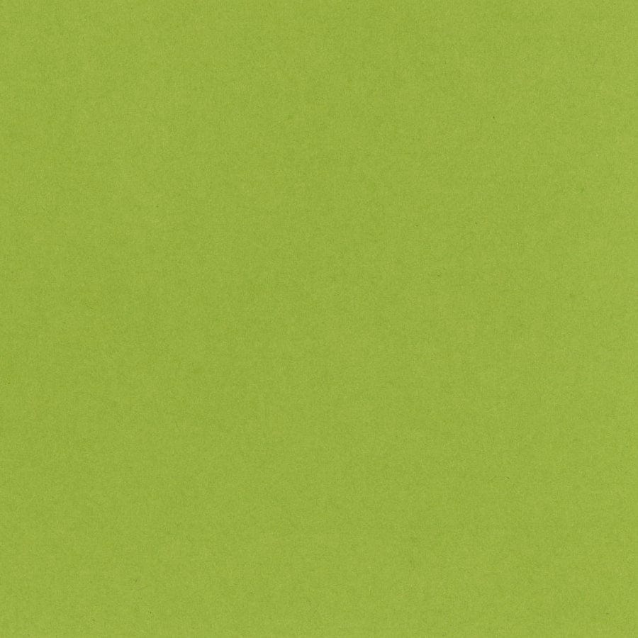 Bazzill Cardstock Bazzill Card Shoppe Heavyweight 12x12" Cardstock - 25 Sheets, Easter Grass