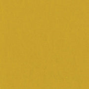 Bazzill Cardstock Bazzill Card Shoppe Heavyweight 12x12" Cardstock - 25 Sheets, Gold Coins
