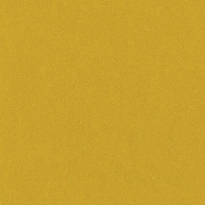 Bazzill Cardstock Bazzill Card Shoppe Heavyweight 12x12" Cardstock - 25 Sheets, Gold Coins