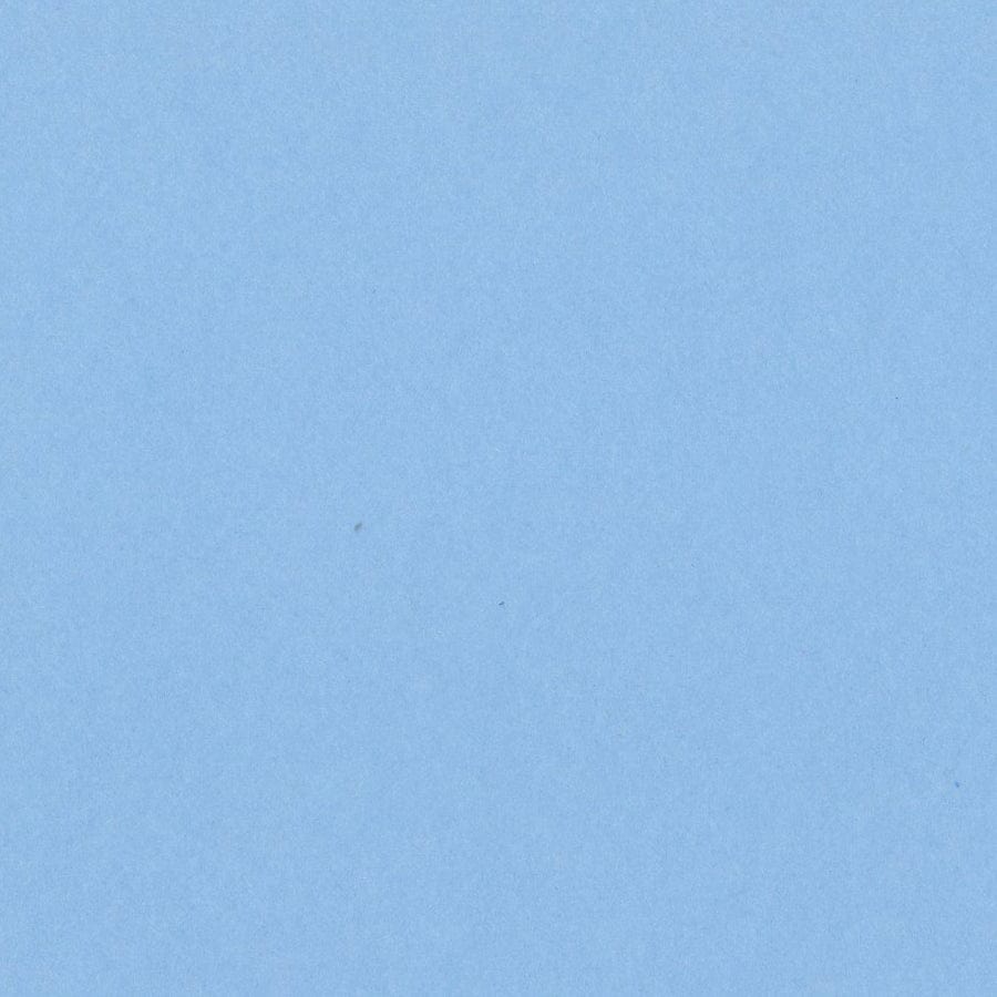 Bazzill Cardstock Bazzill Card Shoppe Heavyweight 12x12" Cardstock - 25 Sheets, Gumball