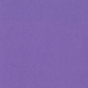 Bazzill Cardstock Bazzill Card Shoppe Heavyweight 12x12" Cardstock - 25 Sheets, Gummy Bear