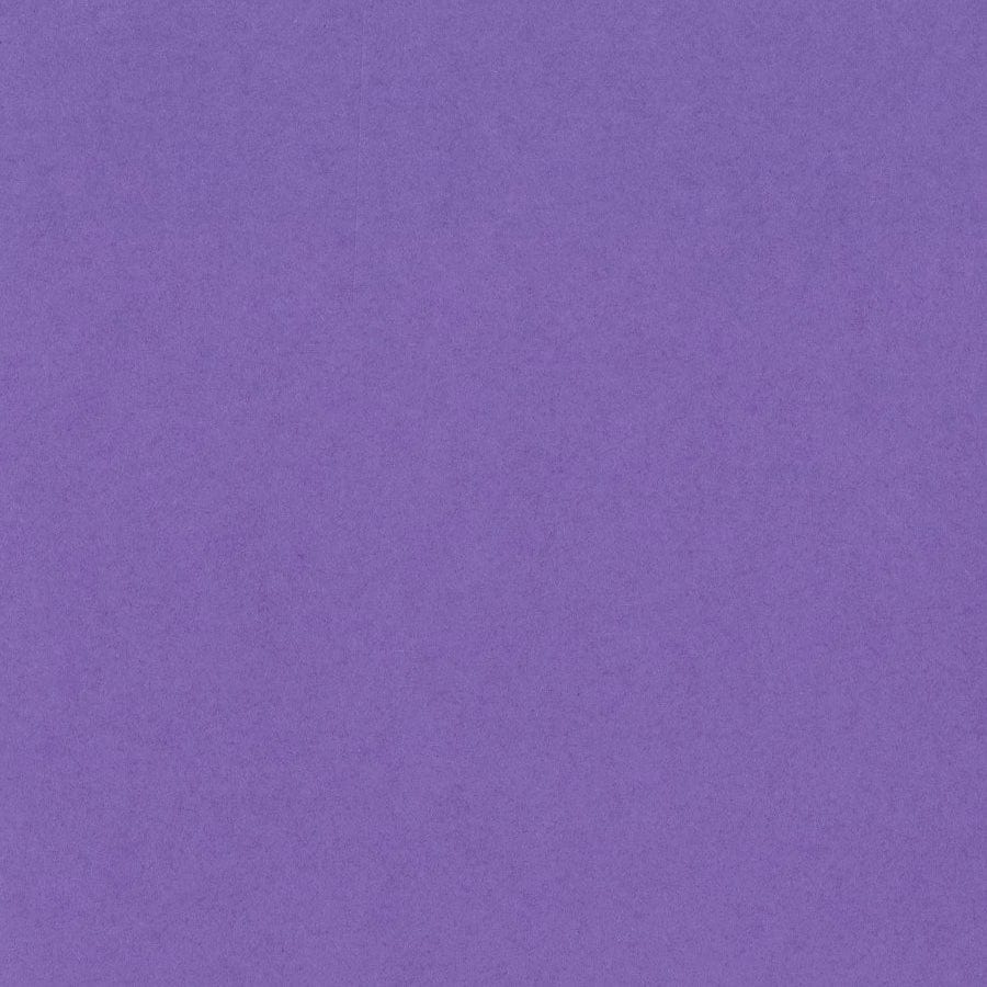 Bazzill Cardstock Bazzill Card Shoppe Heavyweight 12x12" Cardstock - 25 Sheets, Gummy Bear