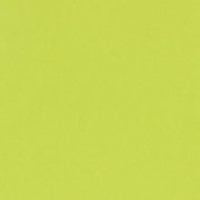 Bazzill Cardstock Bazzill Card Shoppe Heavyweight 12x12" Cardstock - 25 Sheets, juicy Pear
