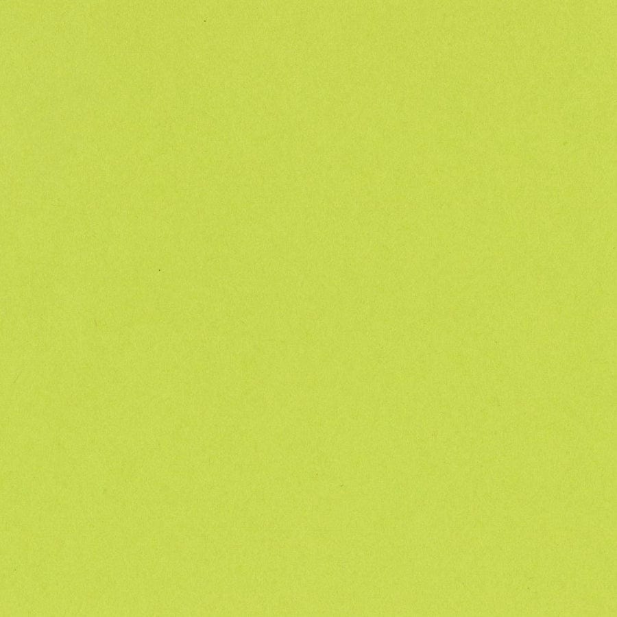 Bazzill Cardstock Bazzill Card Shoppe Heavyweight 12x12" Cardstock - 25 Sheets, juicy Pear