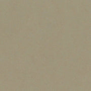 Bazzill Cardstock Bazzill Card Shoppe Heavyweight 12x12" Cardstock - 25 Sheets, Peanut Cluster