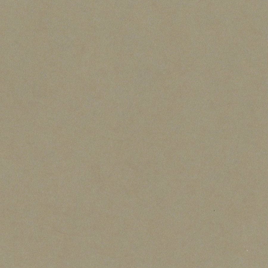 Bazzill Cardstock Bazzill Card Shoppe Heavyweight 12x12" Cardstock - 25 Sheets, Peanut Cluster