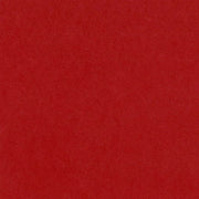 Bazzill Cardstock Bazzill Card Shoppe Heavyweight 12x12" Cardstock - 25 Sheets, Peppermint
