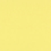 Bazzill Cardstock Bazzill Card Shoppe Heavyweight 12x12" Cardstock - 25 Sheets, Sour Lemon