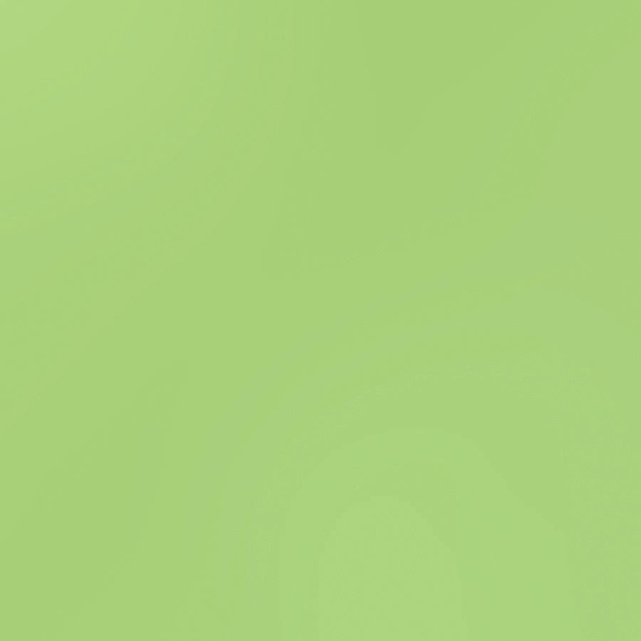 Bazzill Cardstock Bazzill Card Shoppe Heavyweight 12x12" Cardstock - 25 Sheets, Spearmint Stick