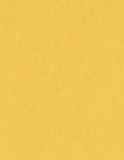 Bazzill Cardstock Bazzill Card Shoppe Heavyweight 8.5"x11" Cardstock - 25 Sheets, Banana Split