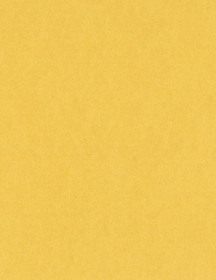 Bazzill Cardstock Bazzill Card Shoppe Heavyweight 8.5"x11" Cardstock - 25 Sheets, Banana Split