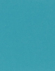Bazzill Cardstock Bazzill Card Shoppe Heavyweight 8.5"x11" Cardstock - 25 Sheets, Candy Necklace