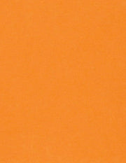 Bazzill Cardstock Bazzill Card Shoppe Heavyweight 8.5"x11" Cardstock - 25 Sheets, Circus Peanuts