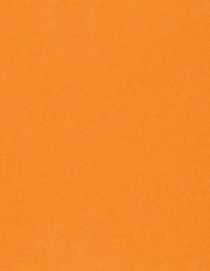 Bazzill Cardstock Bazzill Card Shoppe Heavyweight 8.5"x11" Cardstock - 25 Sheets, Circus Peanuts