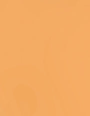 Bazzill Cardstock Bazzill Card Shoppe Heavyweight 8.5"x11" Cardstock - 25 Sheets, Citrus Slice