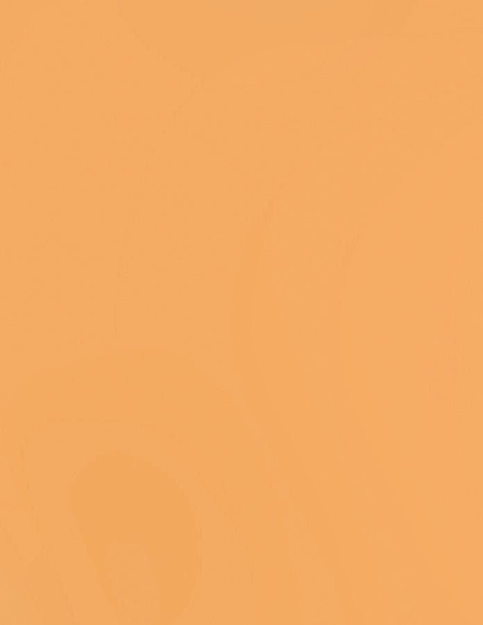 Bazzill Cardstock Bazzill Card Shoppe Heavyweight 8.5"x11" Cardstock - 25 Sheets, Citrus Slice