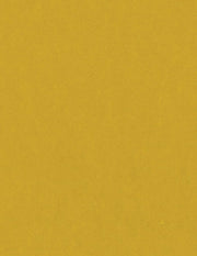 Bazzill Cardstock Bazzill Card Shoppe Heavyweight 8.5"x11" Cardstock - 25 Sheets, Gold Coins