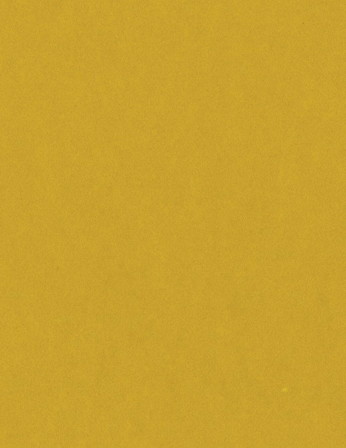 Bazzill Cardstock Bazzill Card Shoppe Heavyweight 8.5"x11" Cardstock - 25 Sheets, Gold Coins