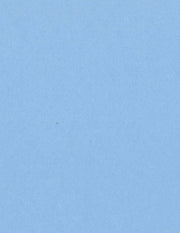 Bazzill Cardstock Bazzill Card Shoppe Heavyweight 8.5"x11" Cardstock - 25 Sheets, Gumball
