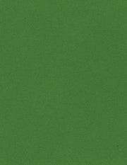 Bazzill Cardstock Bazzill Card Shoppe Heavyweight 8.5"x11" Cardstock - 25 Sheets, Gumdrop