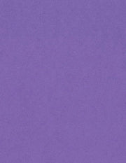 Bazzill Cardstock Bazzill Card Shoppe Heavyweight 8.5"x11" Cardstock - 25 Sheets, Gummy Bear
