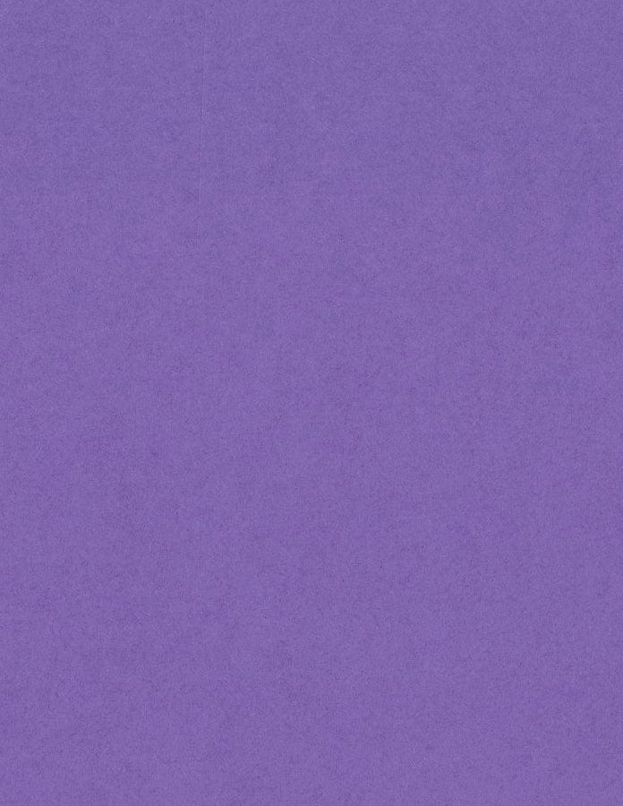 Bazzill Cardstock Bazzill Card Shoppe Heavyweight 8.5"x11" Cardstock - 25 Sheets, Gummy Bear