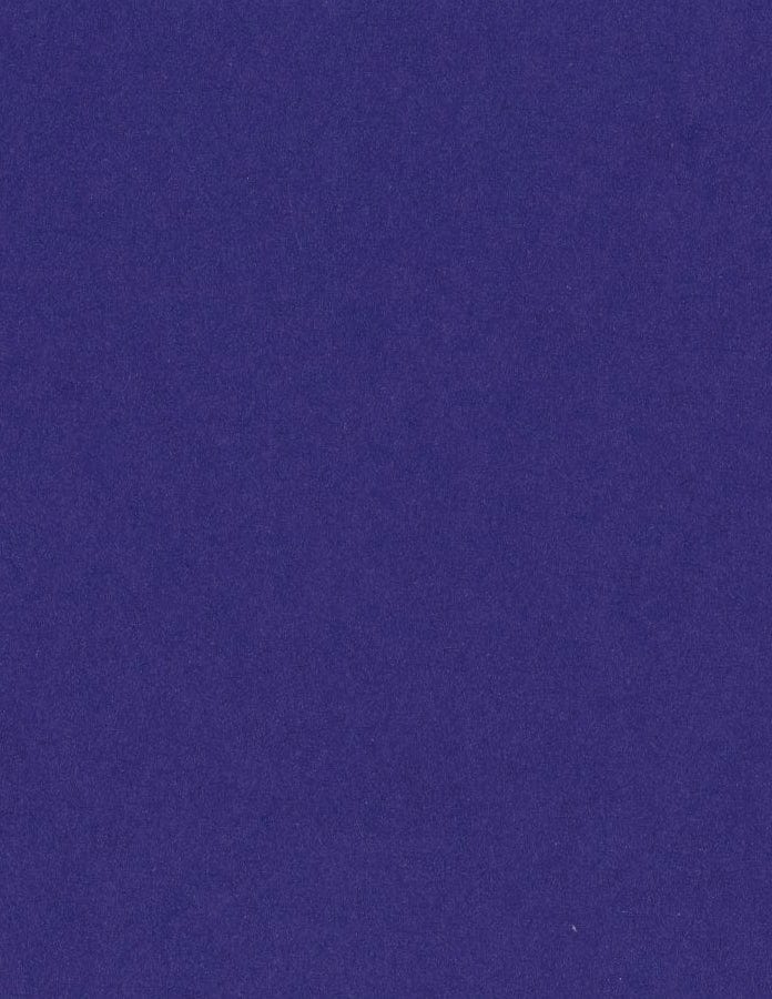 Bazzill Cardstock Bazzill Card Shoppe Heavyweight 8.5"x11" Cardstock - 25 Sheets, Jelly bean