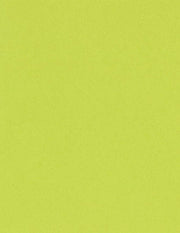 Bazzill Cardstock Bazzill Card Shoppe Heavyweight 8.5"x11" Cardstock - 25 Sheets, Juicy Pear