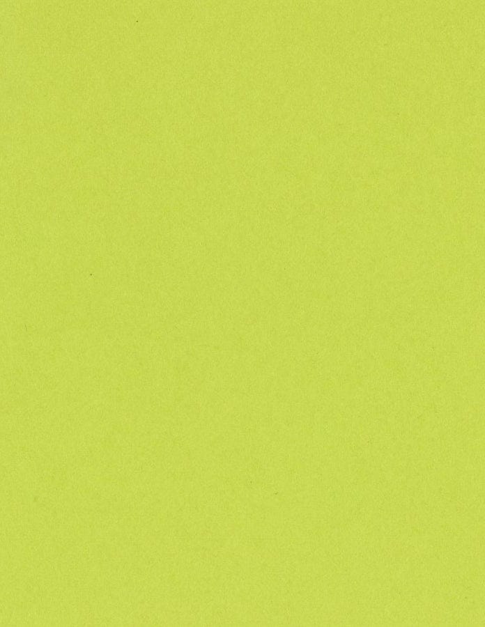 Bazzill Cardstock Bazzill Card Shoppe Heavyweight 8.5"x11" Cardstock - 25 Sheets, Juicy Pear