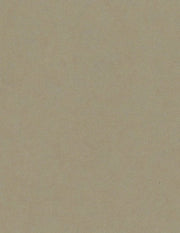 Bazzill Cardstock Bazzill Card Shoppe Heavyweight 8.5"x11" Cardstock - 25 Sheets, Peanut Cluster