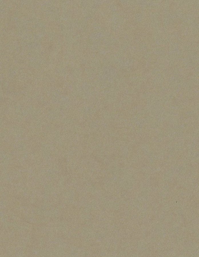 Bazzill Cardstock Bazzill Card Shoppe Heavyweight 8.5"x11" Cardstock - 25 Sheets, Peanut Cluster