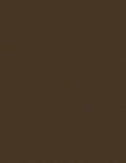Bazzill Cardstock Bazzill Card Shoppe Heavyweight 8.5"x11" Cardstock - 25 Sheets, Peanut Fudge